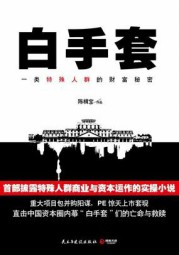 中国资本圈内幕：白手套