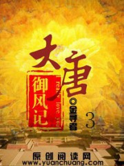 大唐御风记3