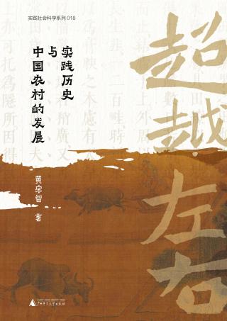 超越左右：实践历史与中国农村的发展