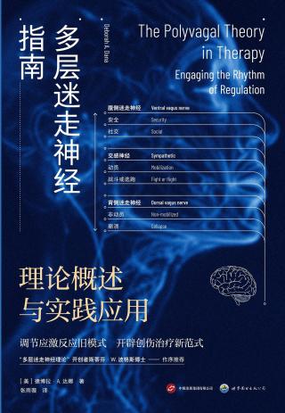 多层迷走神经指南：理论概述与实践应用