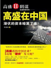 高盛在中国