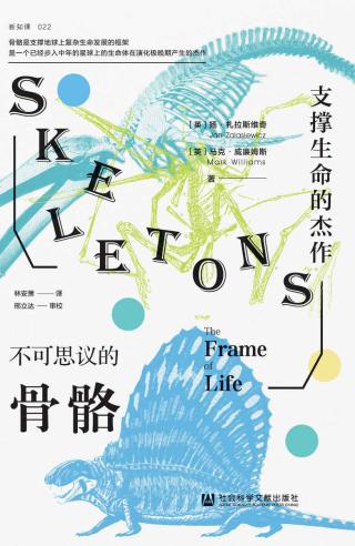 不可思议的骨骼：支撑生命的杰作