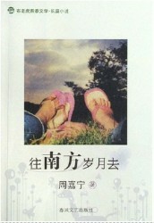 往南方岁月去