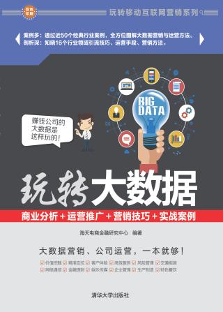 玩转大数据：商业分析＋运营推广＋营销技巧＋实战案例