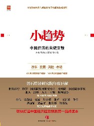 小趋势：中国经济的关键变数