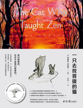 一只去找菩提的猫