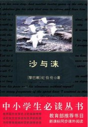 沙与沫