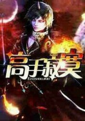 高手寂寞2
