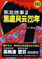 黑道风云二十年