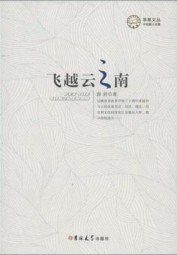 飞越云之南