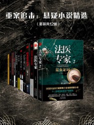 重案追击：悬疑小说精选【12册】