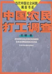 中国农民打工调查