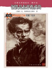钢铁是怎样炼成的