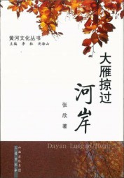 大雁掠过河岸