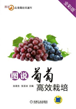 图说葡萄高效栽培（全彩版）