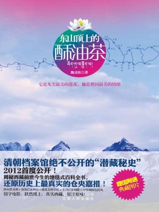 东山顶上的酥油茶：不公开的藏潜藏秘史