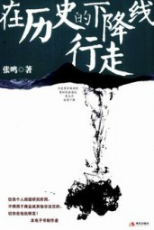 在历史的下降线行走