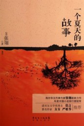 一个夏天的故事