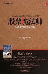 股票魔法师：纵横天下股市的奥秘