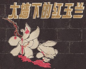 大墙下的红玉兰