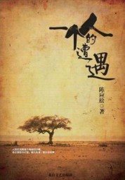 一个人的遭遇
