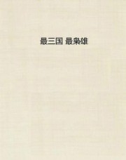 最三国·最枭雄