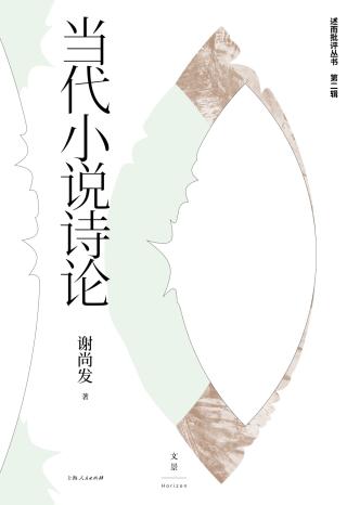 当代小说诗论