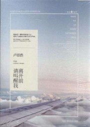 离开前请叫醒我