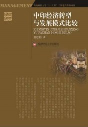 中印经济转型与发展模式比较