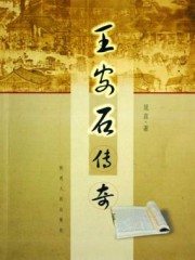 王安石传奇