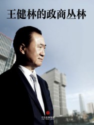 王健林的政商丛林