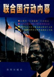 联合国行动内幕