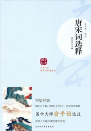 唐宋词选释