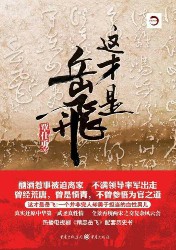这才是岳飞