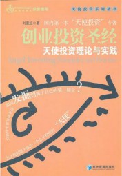 创业投资圣经：天使投资理论与实践