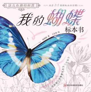 我的蝴蝶标本书