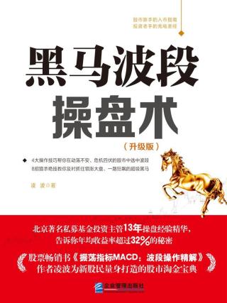 黑马波段操盘术
