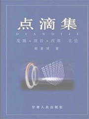 点滴集：发展·项目·改革·文论