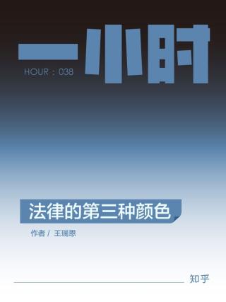 法律的第三种颜色