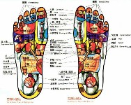 史上最全的穴位详细讲解