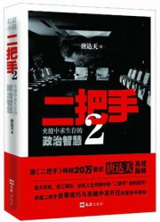 二把手2
