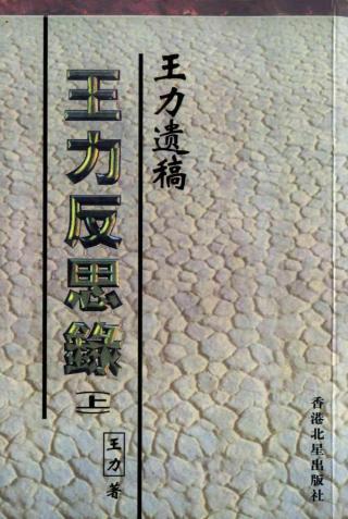 王力反思录