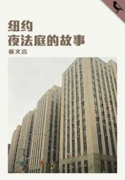 纽约夜法庭的故事