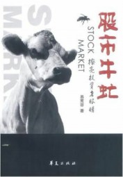 股市牛虻：擦亮投资者眼睛