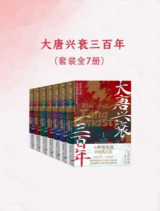 大唐兴衰三百年【7册】