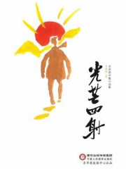 光芒四射：王涂鸦中篇小说集