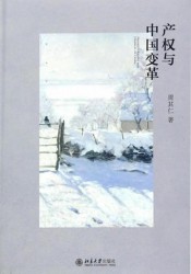 产权与中国变革