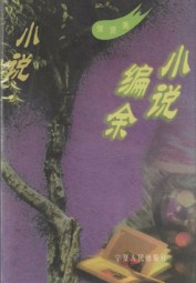 小说编余