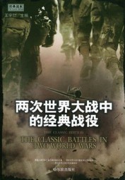 两次世界大战中的经典战役