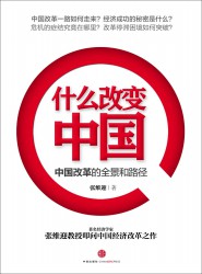 什么改变中国：中国改革的全景和路径